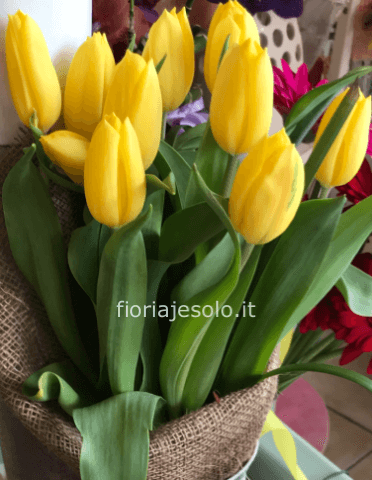 Bouquet di tulipani