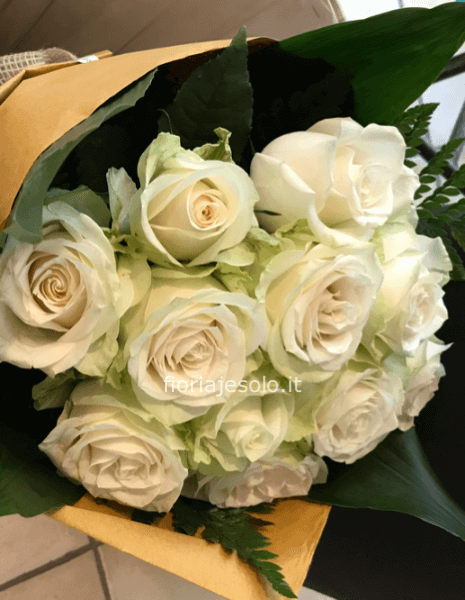 Rose bianche a steli, prima scelta, lunghezza 60 cm.