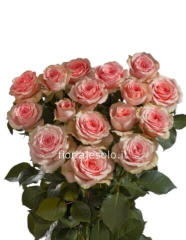 Rose colore rosa da comporre in mazzo per numero di steli.