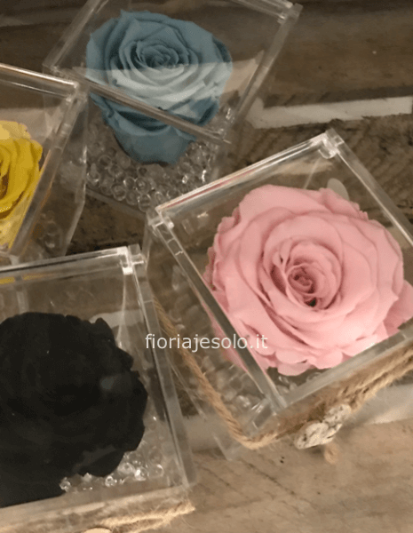 “RoseCube” Rosa stabilizzata in cubo trasparente cm 8x8x8