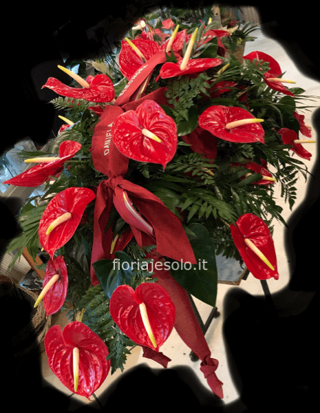 Cuscino funebre elegante composto con anthurium Rossi  lunghezza cm. 120 circa.