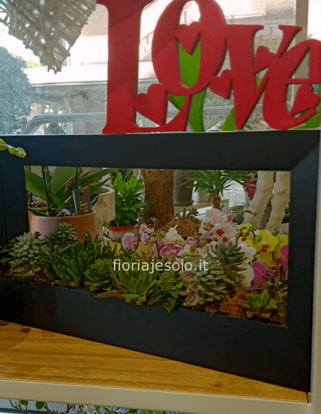 Quadro a specchio con succulente cm 70x30h