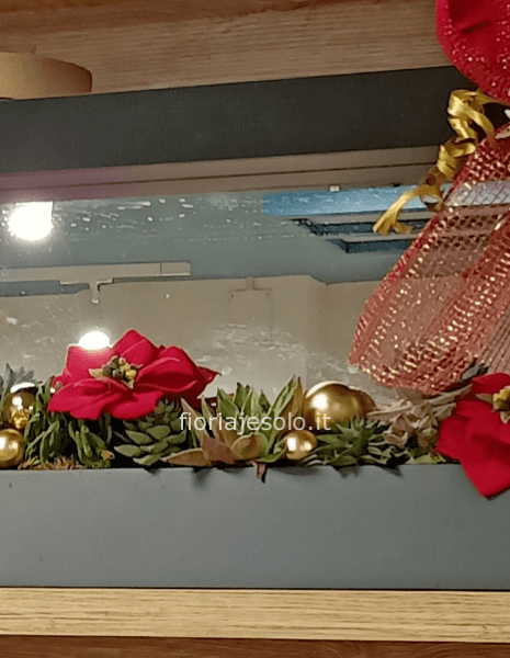 Quadro a specchio chio con succulente cm.70x30h