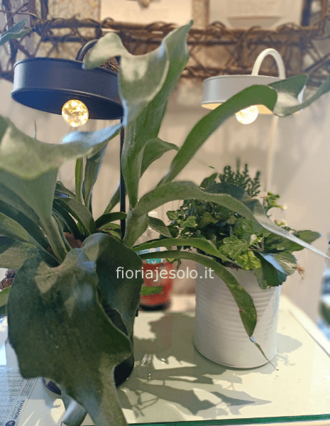 Lampada al led (a batteria) con piante h.44x13 bianca