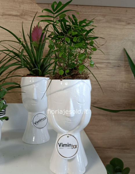 “Faccina pensosa” in ceramica con piante verdi
