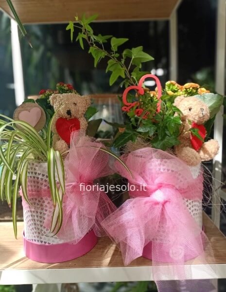 Flowerbox con piante e orsetto in peluche cm 15 x h.cm 30