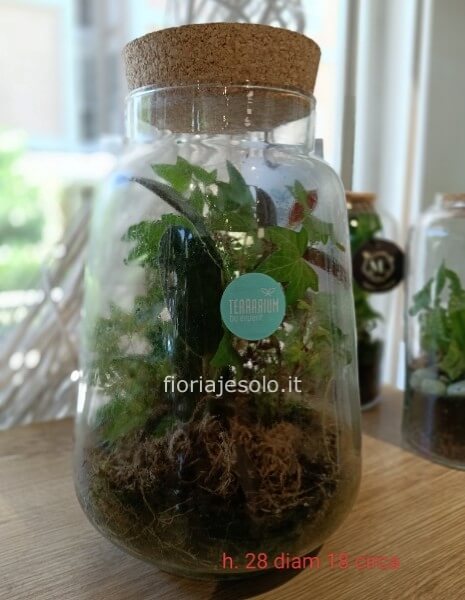 Terrarium