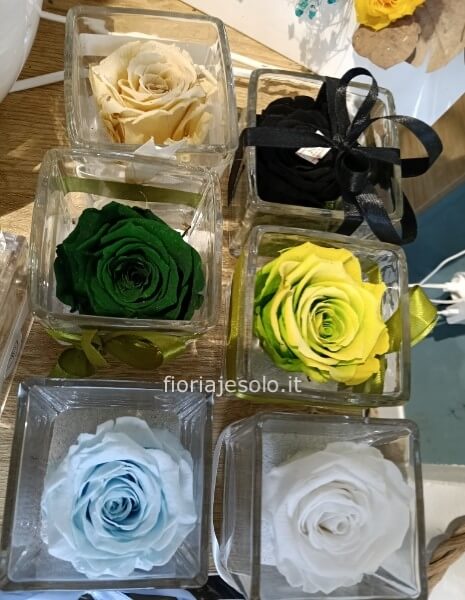 Rosa stabilizzata in cubo di vetro 8x8x8