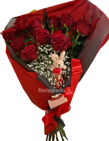 Rose rosse Explorer