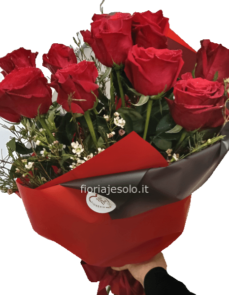 12 rose rosse cm 60