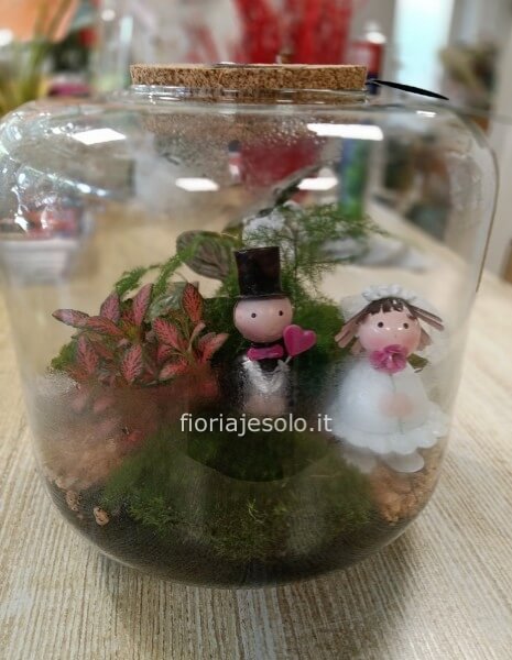 Terrarium con sposini